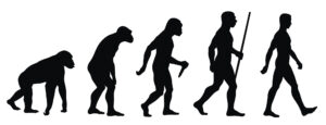 Black and white image of the evolution of man.