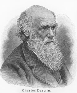 Picture of Charles Darwin.