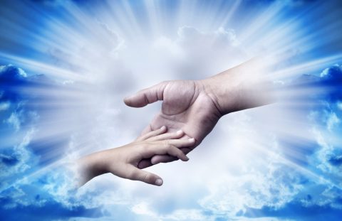 shutterstock_28742404